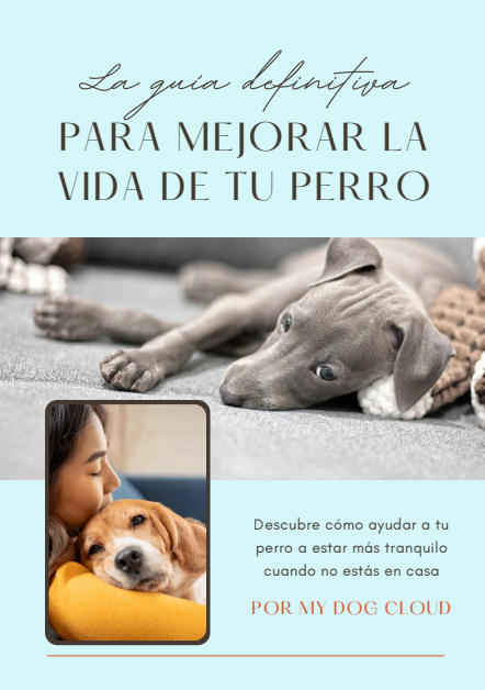 La guía definitiva de MDC - Ebook